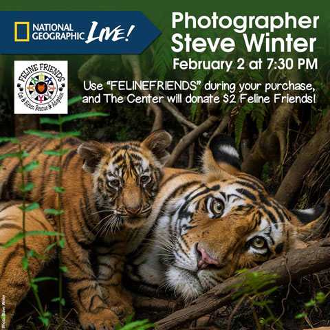 Big Cat Event Flyer