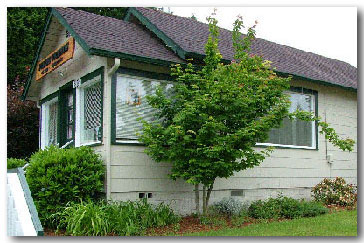 Feline Friends' Cat House