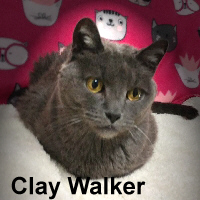 Adopt Clay Walker