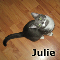 Adopt Julie
