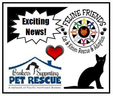 Cat Rescue and Adoption NetworkCat Rescue & Adoption Network