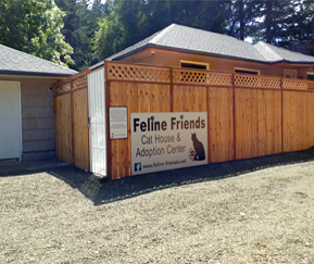 garage cat house