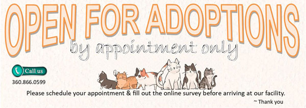 Adoptions Open By Appointment Only