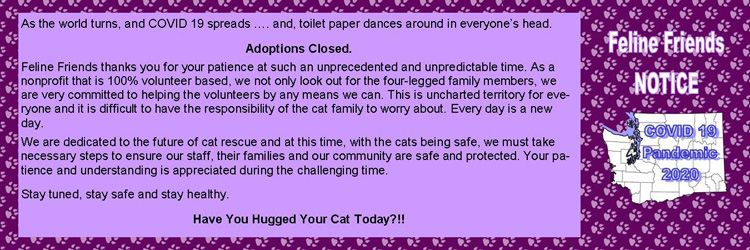 Adoptions Closed for Pandemic - Please check back