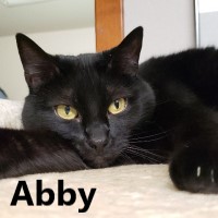 Adopt Abby and Alex 