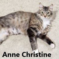 Adopt Anne Christine 