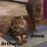 Adopt Arthur and Annie