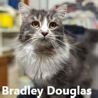 Adopt Bradley Douglas