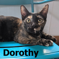 Adopt Dorothy