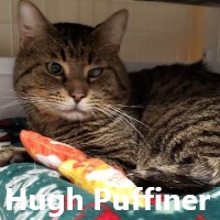 Adopt Hugh Puffner