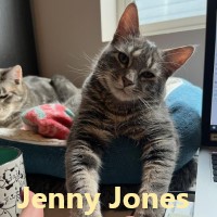 Adopt Jenny Jones and Maury Povich 