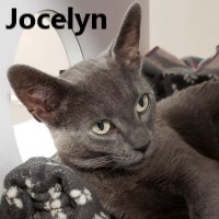 Adopt Victoria and Jocelyn