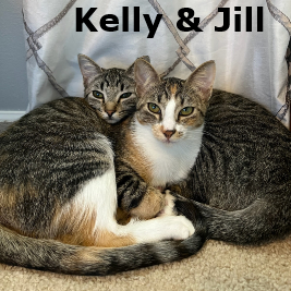 Adopt Kelly and Jill 