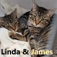 Adopt Jim and Linda