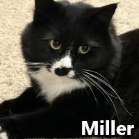 Adopt Miller