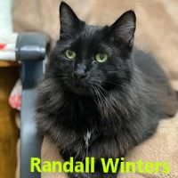 Adopt Randall Winters