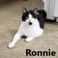 Adopt Ronnie Lewis