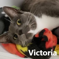 Adopt Victoria and Jocelyn