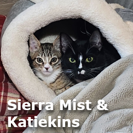 Adopt Katiekins and Sierra Mist