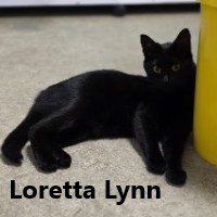 Adopt Loretta Lynn