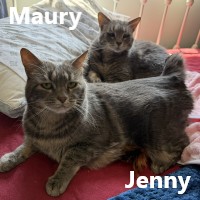 Adopt Maury and Jenny