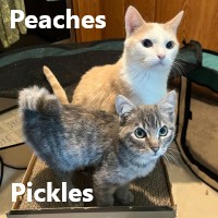 Adopt Peaches and Pickles