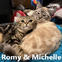 Adopt Romy and Michelle 