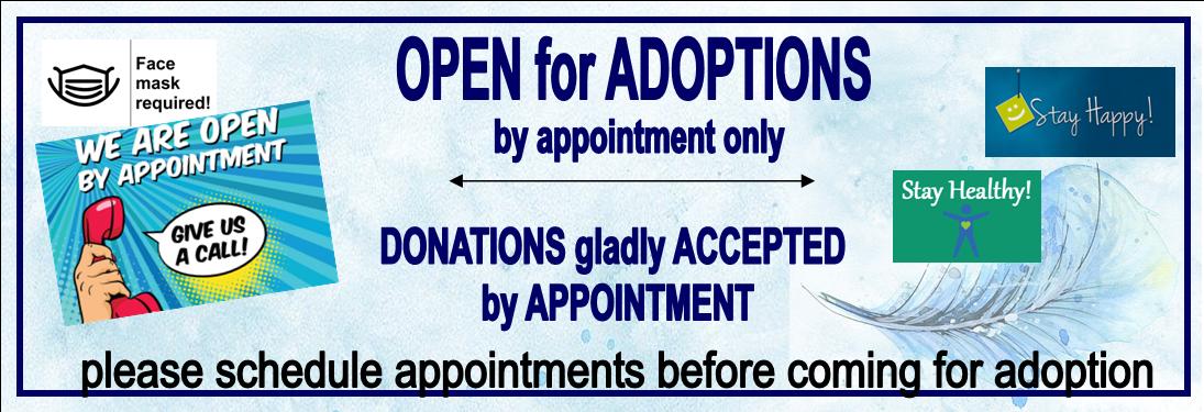 Adopt Appts