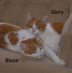 Glory with her son, Blaze